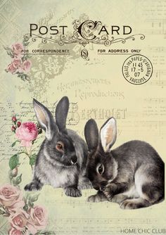 two rabbits sitting next to each other in front of a postcard with roses on it