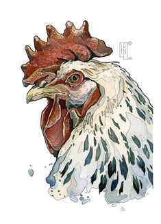 a watercolor painting of a rooster's head with black and white spots on it