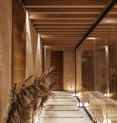 the hallway is lined with candles and pamylic plants in front of glass walls