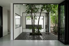 an empty room with a tree in the center and glass doors leading to another room