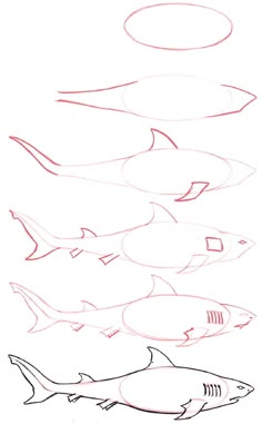 a drawing of different types of fish in the ocean with one being drawn by someone's hand