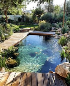 an outdoor swimming pool with wooden decking and clear blue water surrounded by greenery