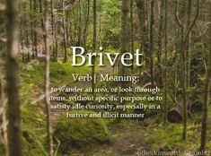 a path in the middle of a forest with words above it that read, brivet verbi meaning