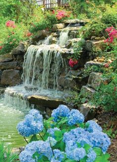 blue hydrangeas are in front of a waterfall