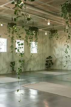 an empty room with plants hanging from the ceiling