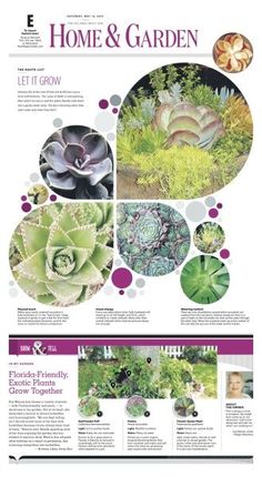 the brochure is shown with pictures of plants and flowers in it, including succulents