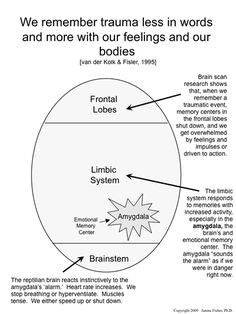 Montgomery Tubercles, Janina Fisher, Family Therapy, School Psychology, Sensory Experience