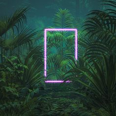 a neon frame in the middle of a jungle