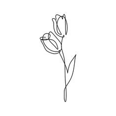 a line drawing of a single tulip