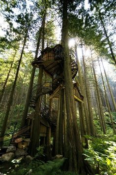 a tree house in the middle of a forest with stairs going up it's side