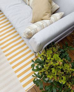 a white couch sitting on top of a wooden floor next to a potted plant