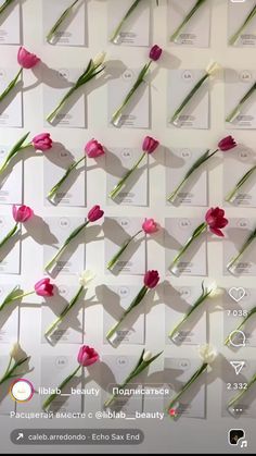 there are many flowers arranged in rows on the wall, and each has its own name