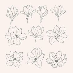 the outlines of different flowers are shown in black and white on a light pink background