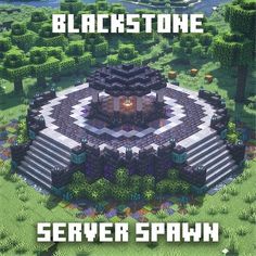 the cover for black stone server samh