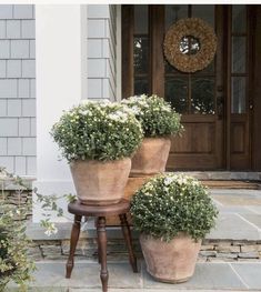 three large potted plants sitting on top of a wooden stool in front of a door