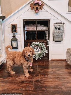 a brown dog standing in front of a doll house with a sign on the door