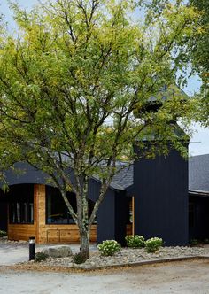 a large tree in front of a black building