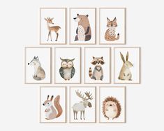 an assortment of different animals are shown in the frame