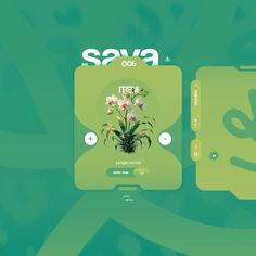 an image of a plant with flowers on it and the words sav2 do