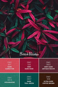 the color scheme for an autumn / winter palette is shown in shades of red, green and