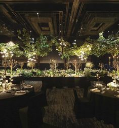 the tables are set up for an event with trees and lights in the centerpieces