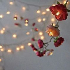 some lights are hanging from the ceiling and flowers are in blooming on the branches