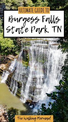 the top hikes near nashville tennessee with text overlay that reads top hikes near nashville, tennessee