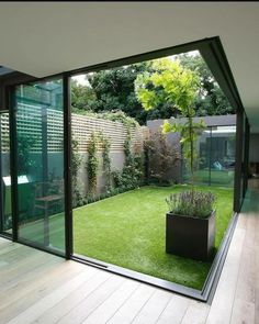 an open room with grass and plants in the center, looking out onto the back yard