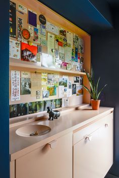 a bathroom with blue walls and lots of pictures on the wall above the sink, along with a potted plant