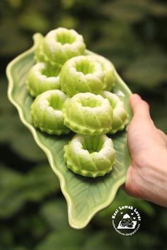 a hand holding a green plate with small pieces of food on top of it in front of some leaves