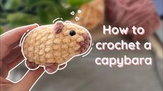 a hand holding a small crochet animal with the words how to crochet a capybara