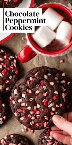 chocolate peppermint cookies with white and red sprinkles in the middle