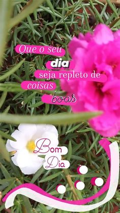 pink and white flowers in the grass with spanish words above them that read, our o seu dia seja reppleto de coras dosas boss