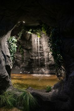 a waterfall in the middle of a cave with plants growing on it's sides