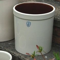 three white pots sitting on the ground next to each other with plants growing out of them