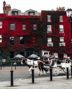 a horse drawn carriage on the street in front of a building with ivy growing on it's walls