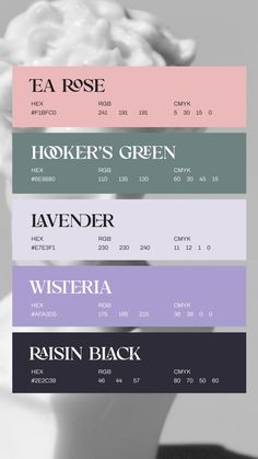 the different font styles for each type of poster or brochure are shown in black, white, and pink