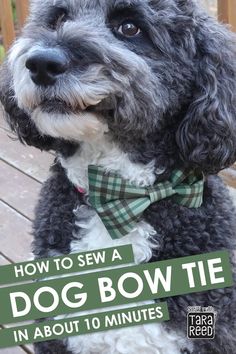 a dog wearing a bow tie with the words how to sew a dog bow tie in about 10 minutes