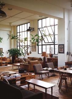 a large open living room with lots of furniture and plants on the windows sill