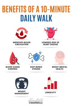 The benefits of walking daily are often underestimated. Just 10 minutes of walking exercise each day can enhance both physical and mental health, from better heart health to sharper focus. Read the post to learn more daily walking benefits! | How to Live Healthy Biohacking Technology, Walking Benefits, Benefits Of Walking Daily, Walking Daily, Health Benefits Of Walking, Daily Walking, Environmental Research, Benefits Of Walking