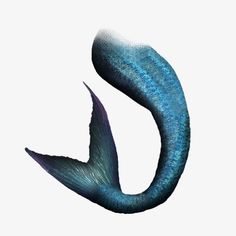 an image of a blue mermaid tail on a white background