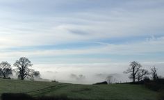 two sheep grazing on a lush green hillside covered in fog and low lying clouds behind them