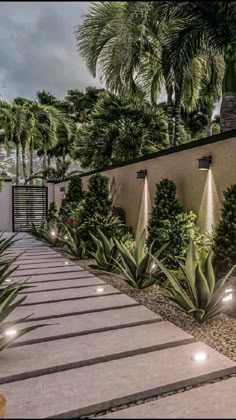 an outdoor garden with plants and lights on the side of the wall, surrounded by palm trees