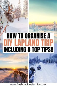 how to organize a diy lapland trip including 8 top tips