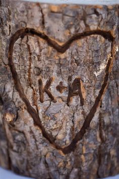 a heart carved into the bark of a tree with initials on it's sides