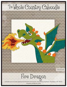 the front cover of a book with an image of a fire dragon