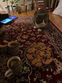 a cat sitting on top of a rug next to two cups of tea and cookies