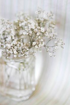 small white flowers in a glass jar on a striped tableclothed surface with vertical stripes