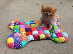 a small dog sitting on top of a pile of colorful stuffed animals and toys in front of him