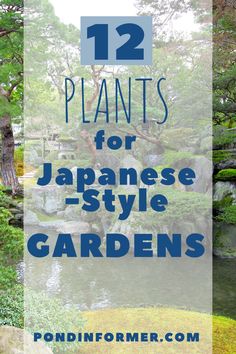 japanese garden with text overlay that reads 12 plants for japanese style gardens